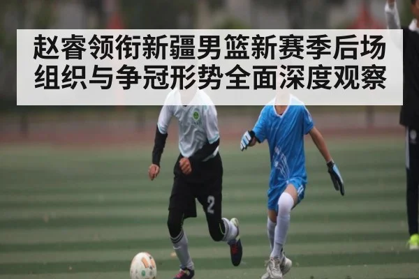 赵睿领衔新疆男篮新赛季后场组织与争冠形势全面深度观察